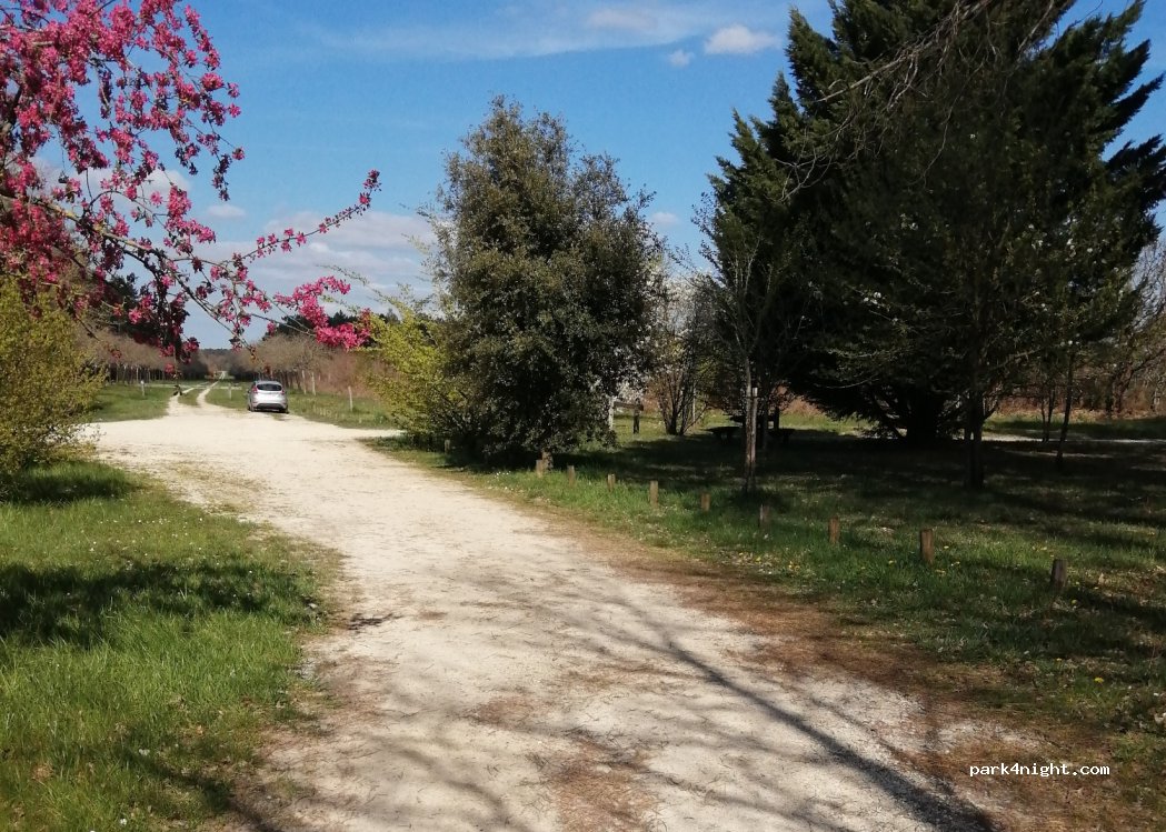 (37290) Bossay-sur-Claise - Sainte-Catherine — foto 3
