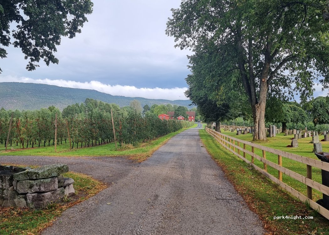 (3810) Akkerhaugen - Nesvegen — foto 3