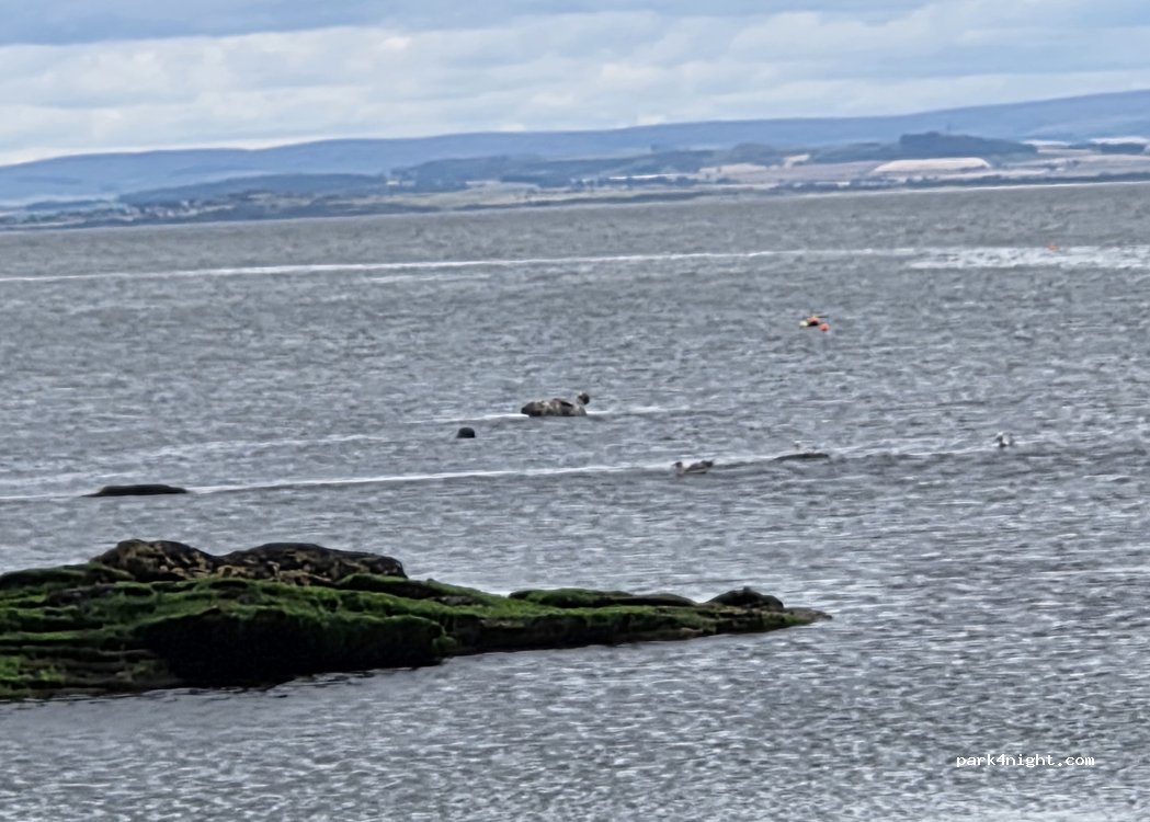 (KY8 1BQ) Buckhaven - West Wynd — foto 4