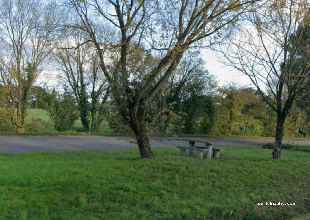 (85320) Les Pineaux - — foto