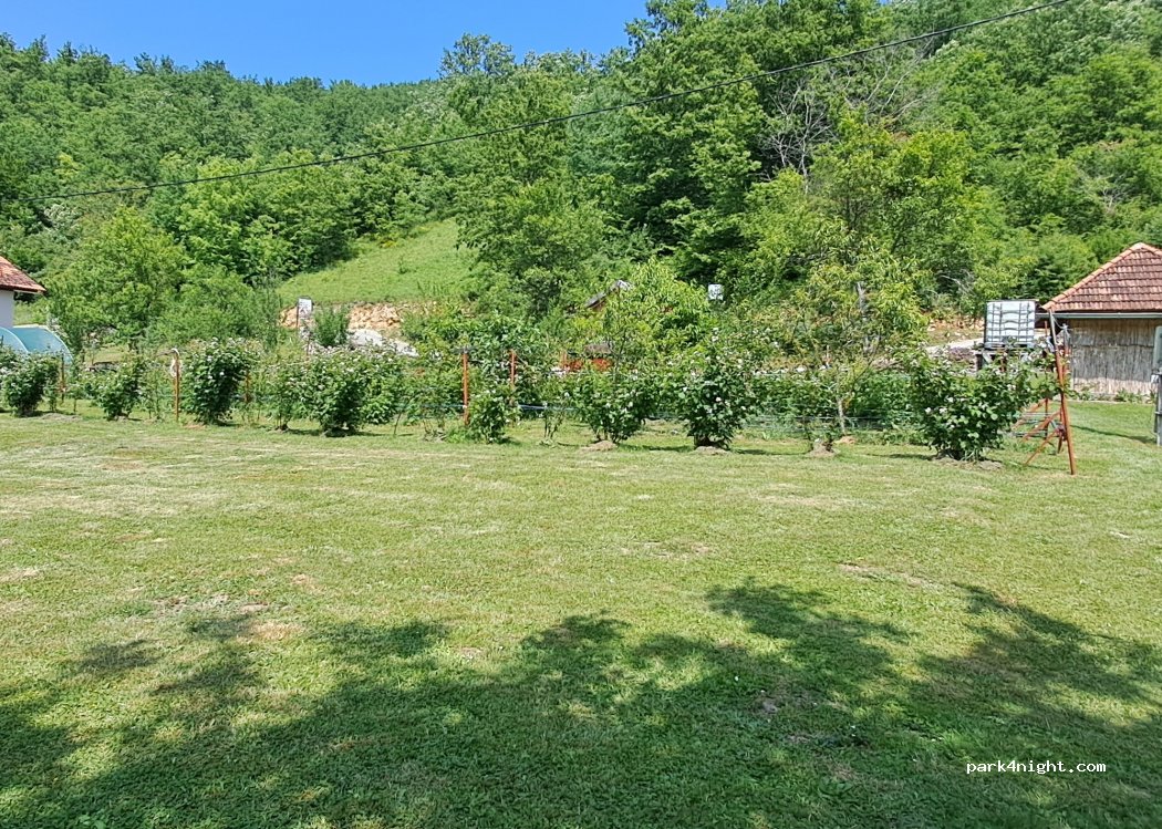 Kamp Berries — foto 2