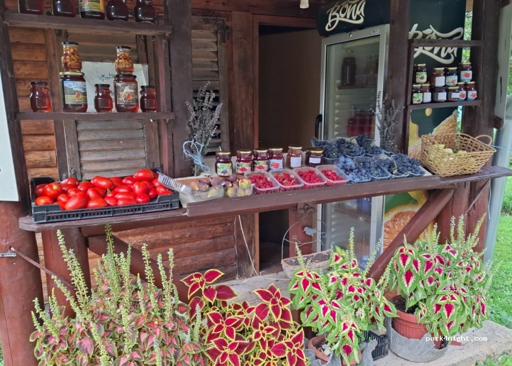 Kamp Berries — foto 4