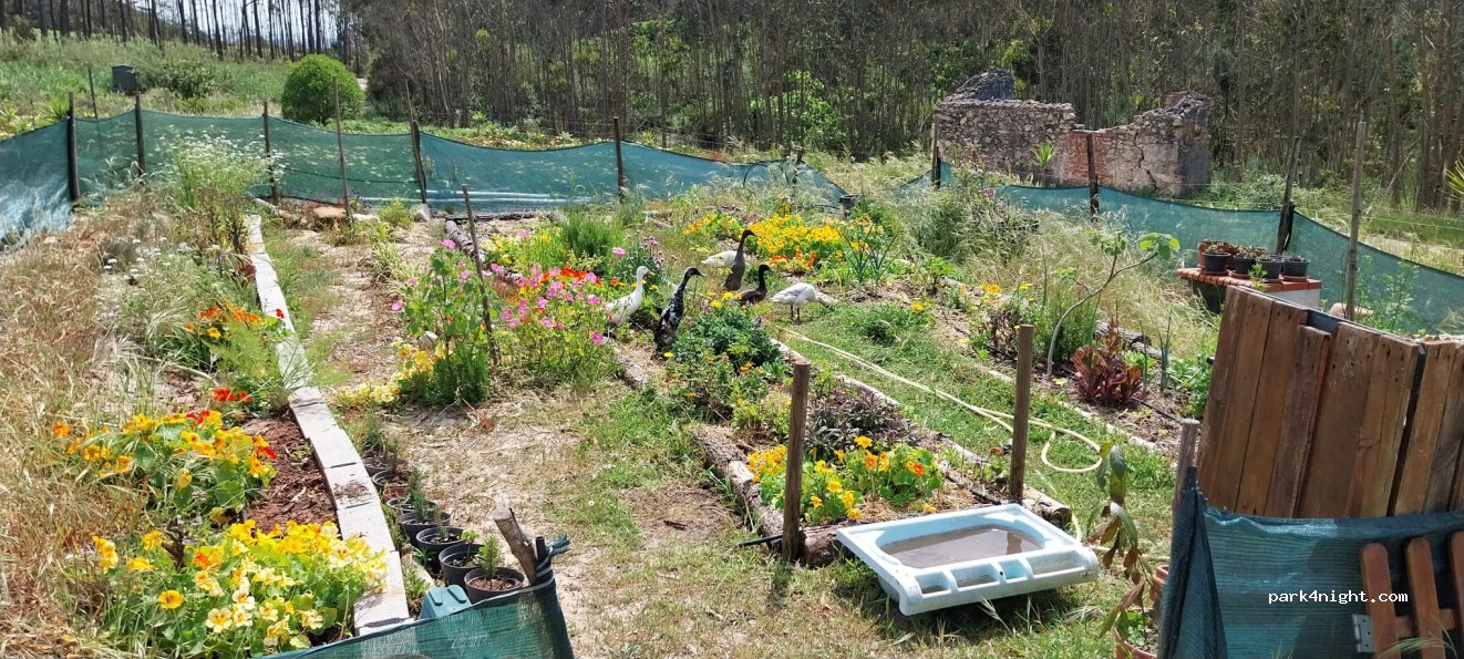 Camper space on a small organic farm — foto 5