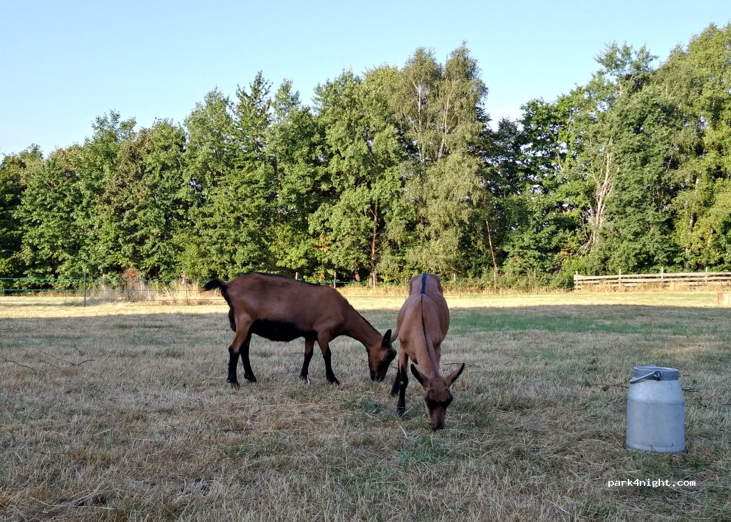 (51588) Nümbrecht - Am Dreieck — foto 2