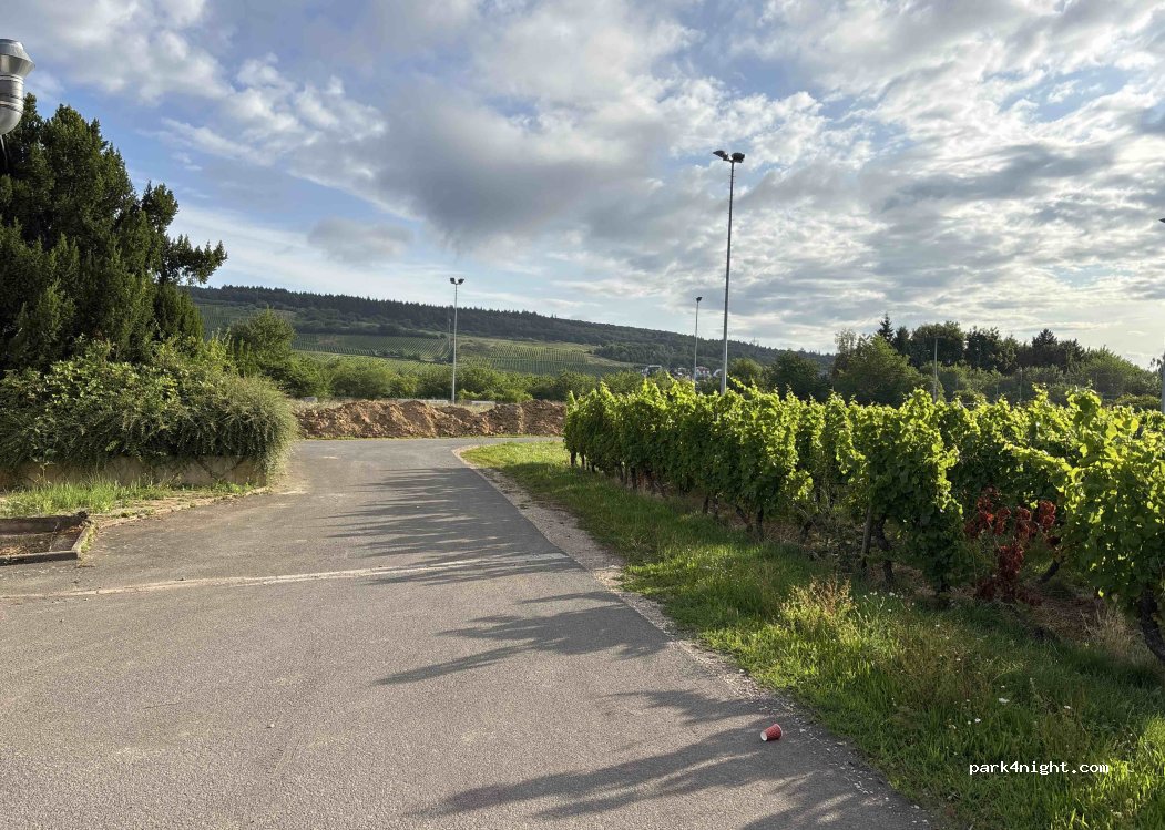 (55452) Rümmelsheim - Zum Sportplatz — foto 2