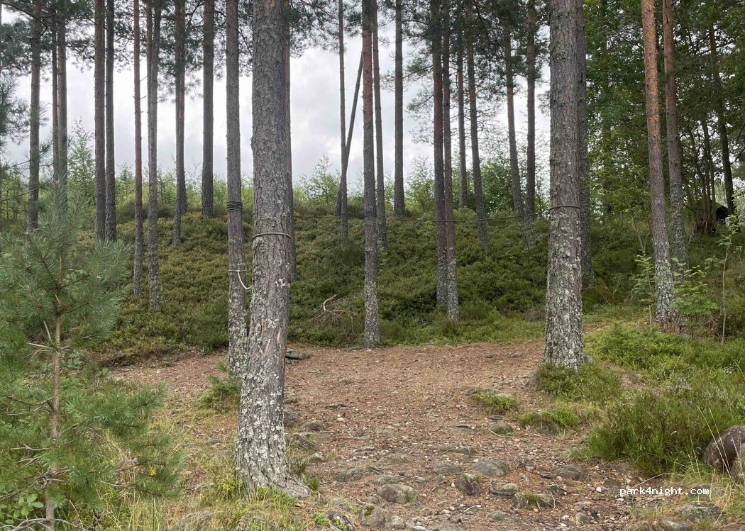 (4741) Kyrkjebygda - Setesdalsvegen — foto 3