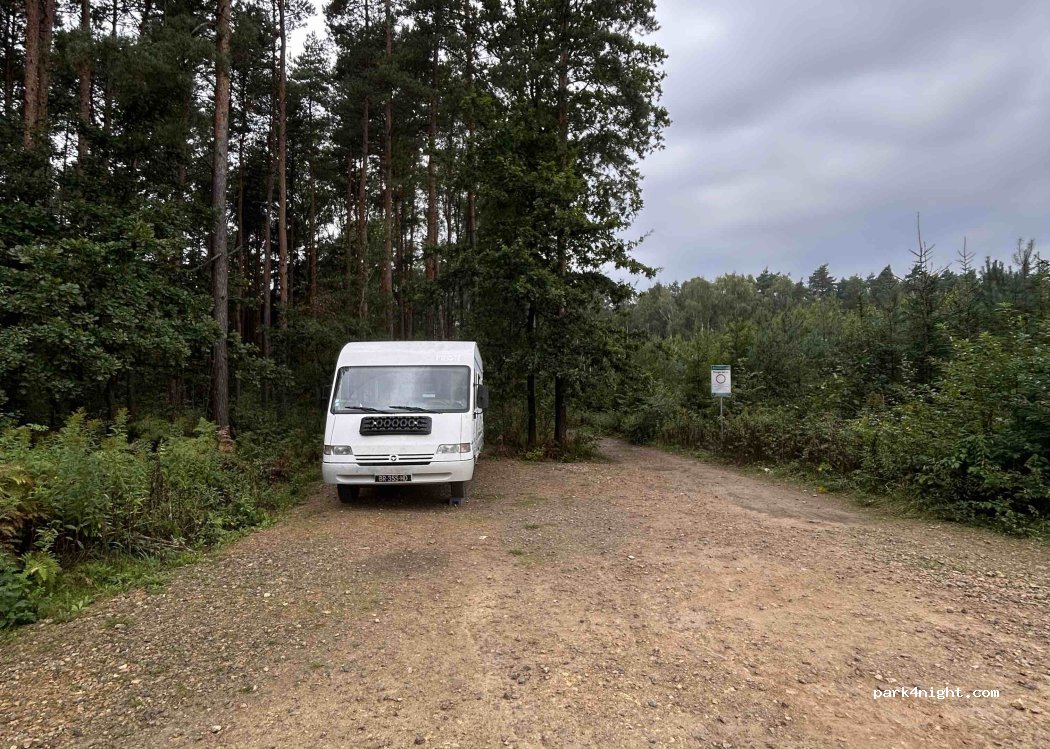 (42-584) Wymysłów - Droga pożarowa numer 7 — foto 3