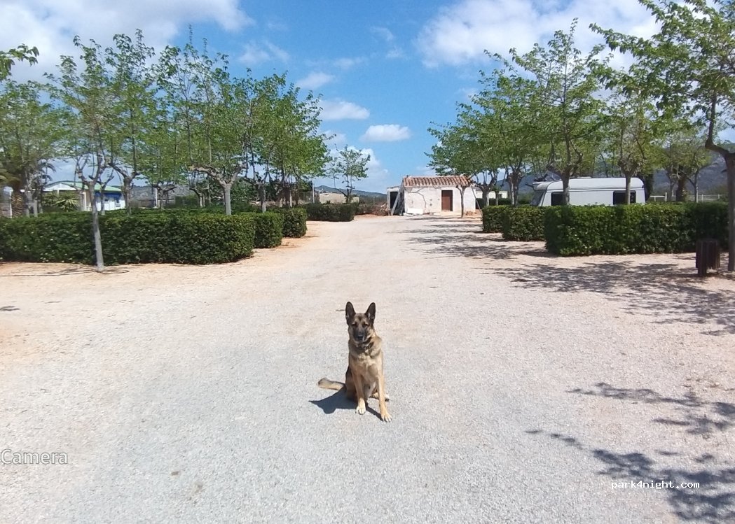 (12579) Alcossebre - Carretera Alcossebre,km. 1,5 — foto 5