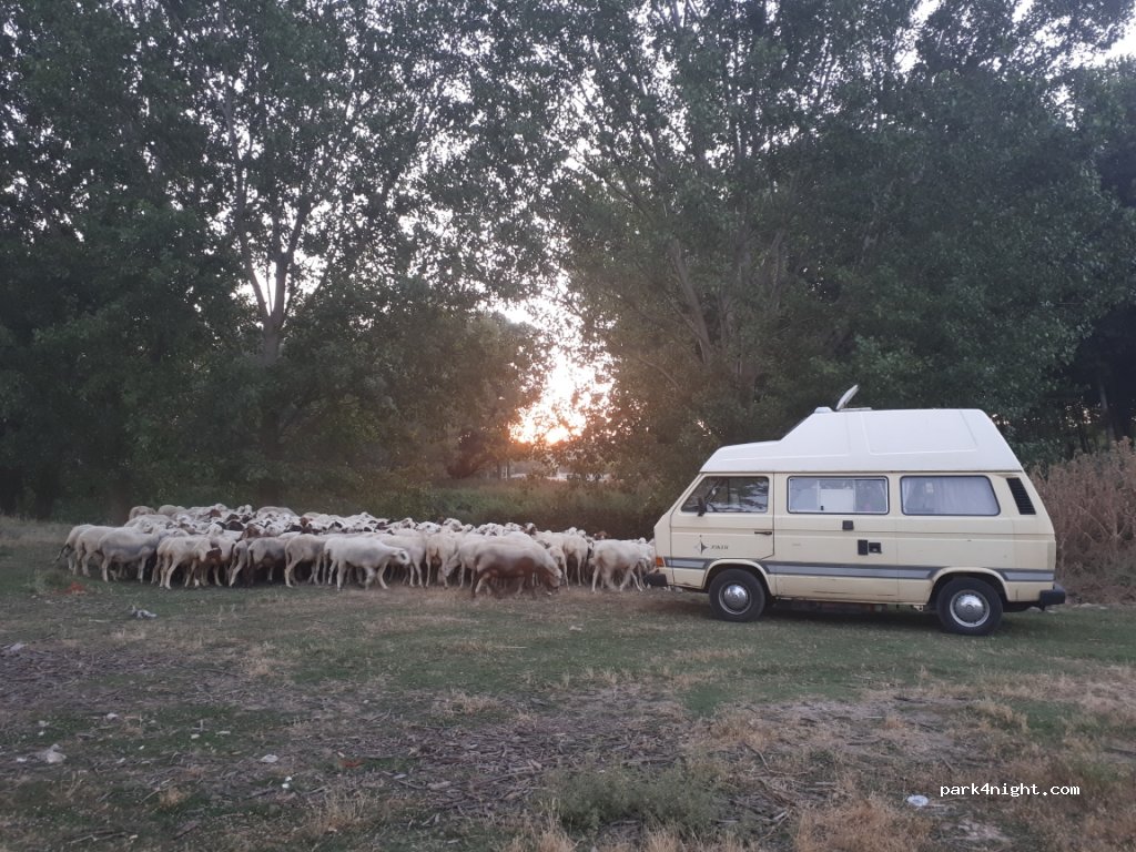(09239) Cavia - 3 Calle San Miguel — foto 2