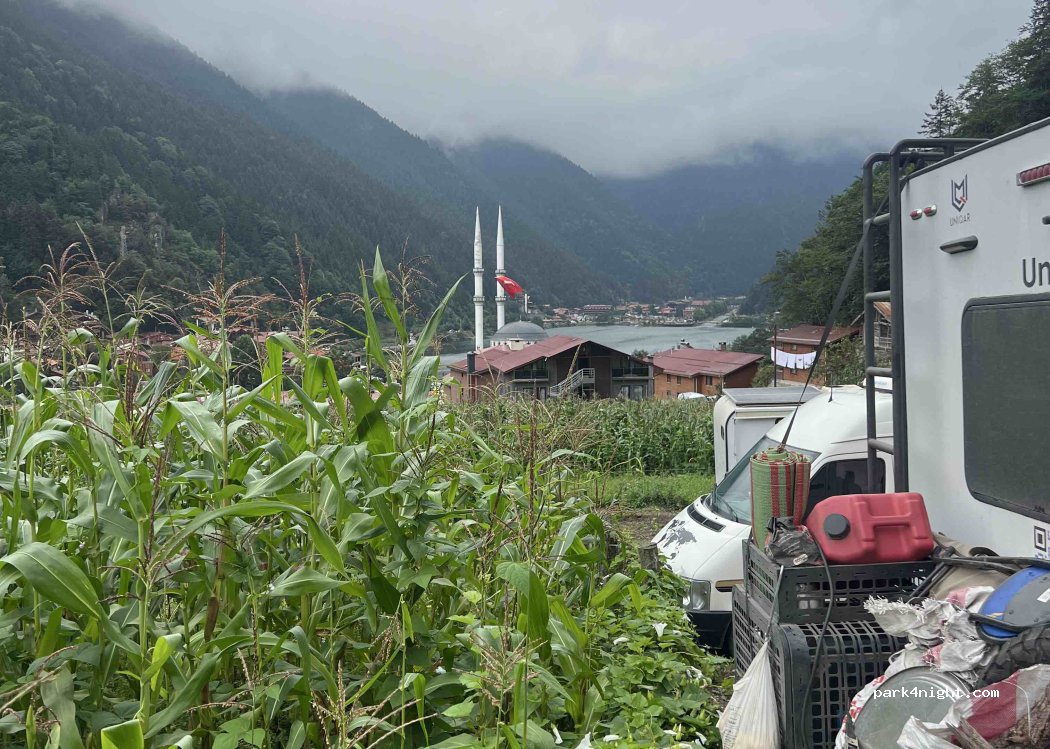Uzungöl kamp — foto