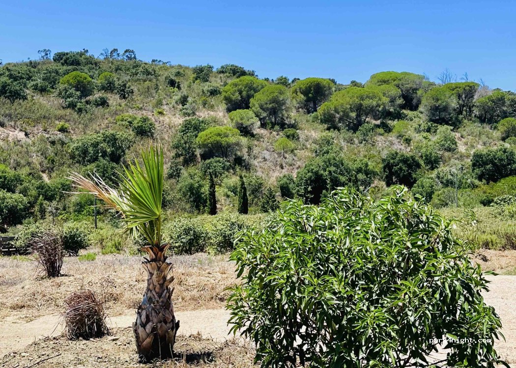 Quinta Moosaik — foto 4