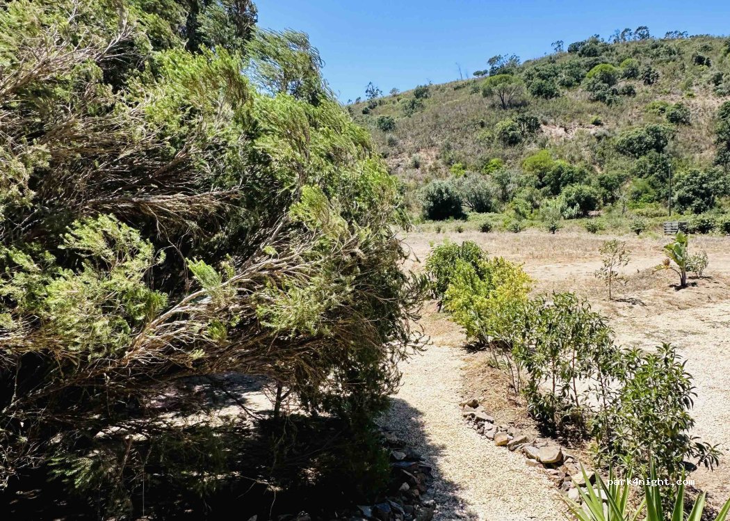 Quinta Moosaik — foto 5