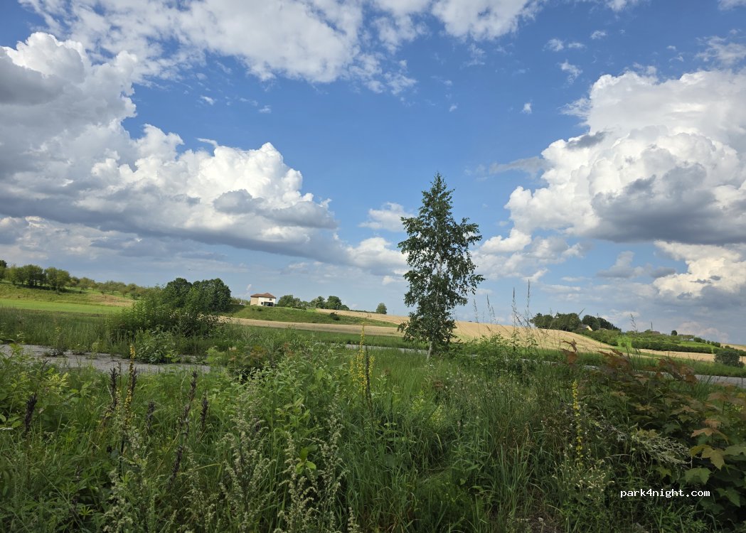 (LV3901) Bauskas novads - Bauska — Priedītes — foto