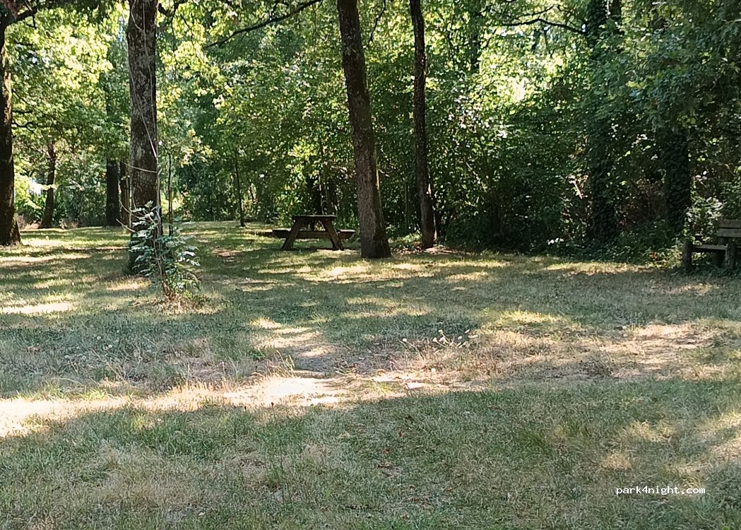 (85770) Velluire - Chemin du Bois — foto