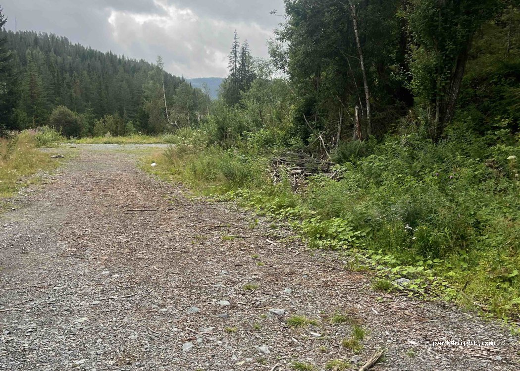 (3891) Høydalsmo - Høydalsmovegen — foto