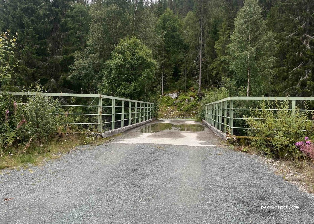 (3891) Høydalsmo - Høydalsmovegen — foto 2