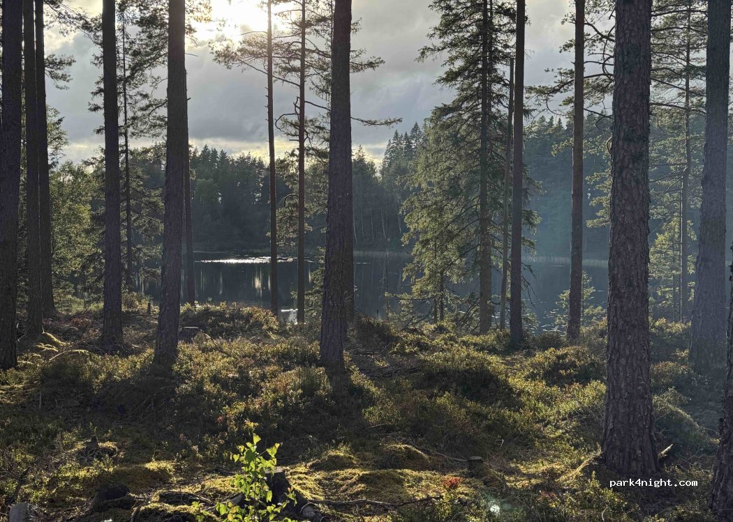 (335 72) Gnosjö - — foto