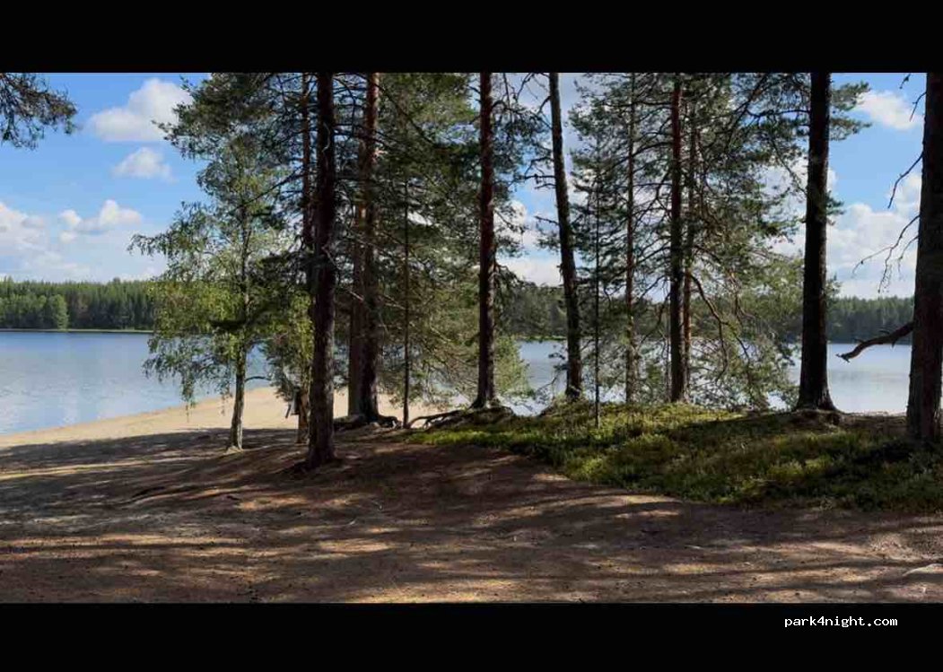 (82900) Ilomantsi - Tervaruukintie — foto 3