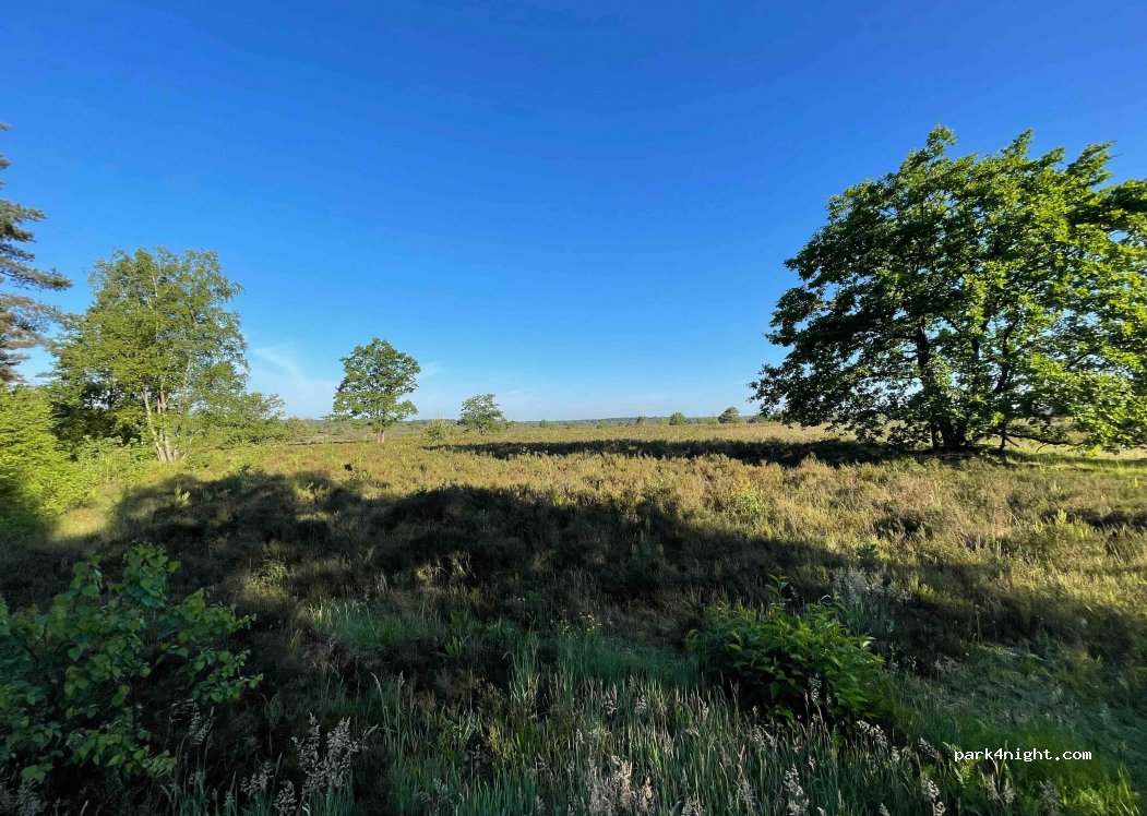 (29640) Schneverdingen - K53 — foto