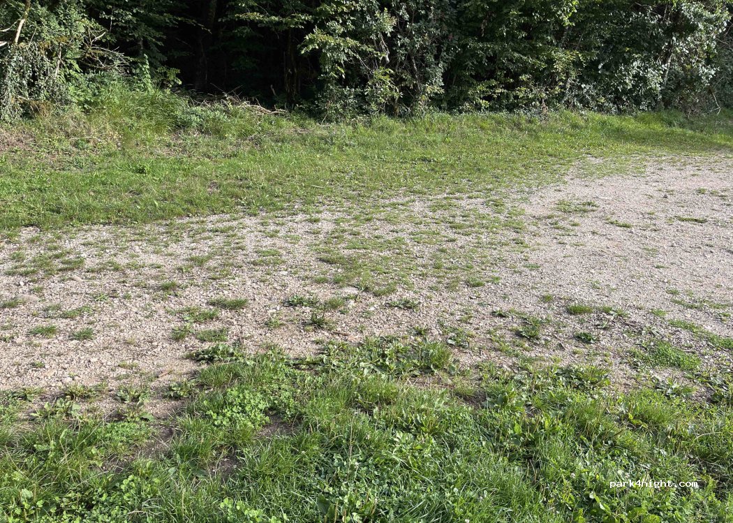 (39170) Lavans-lès-Saint-Claude - Route Forestière de la Ragea — foto
