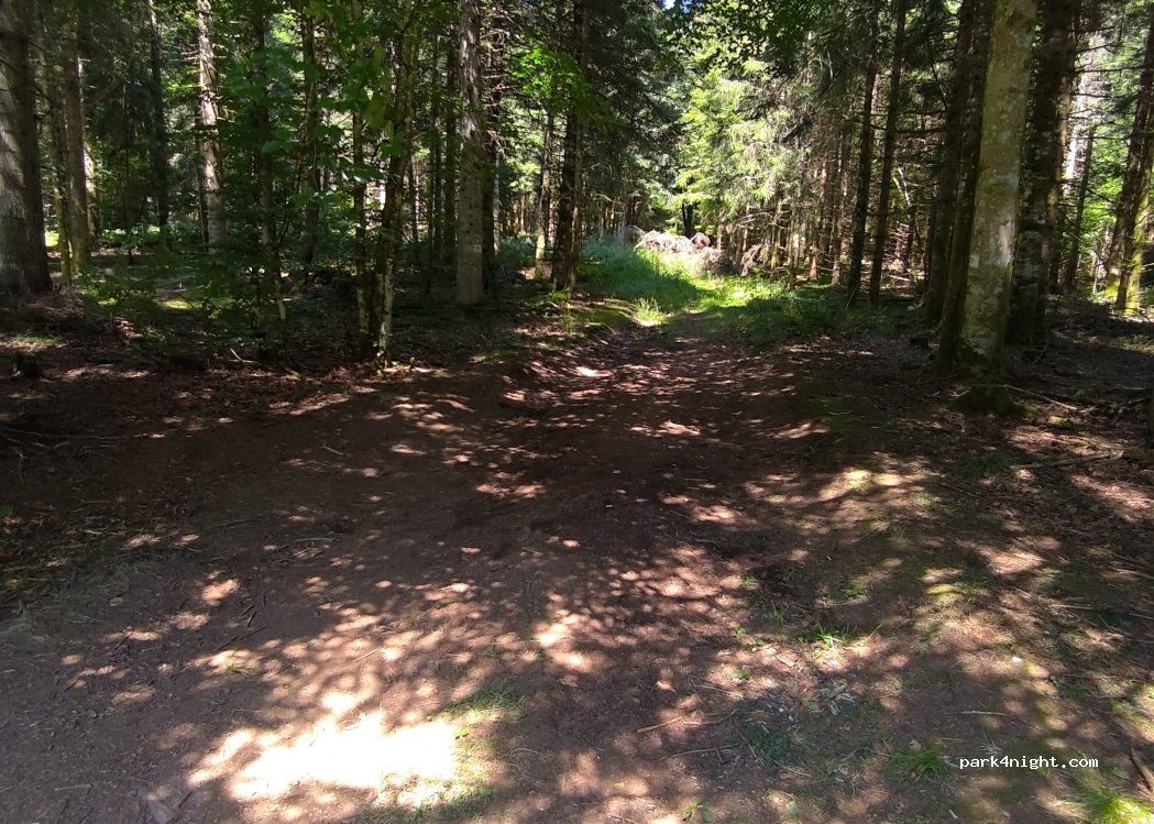 (63870) Chanat-la-Mouteyre - Route du Sarcouy — foto 2
