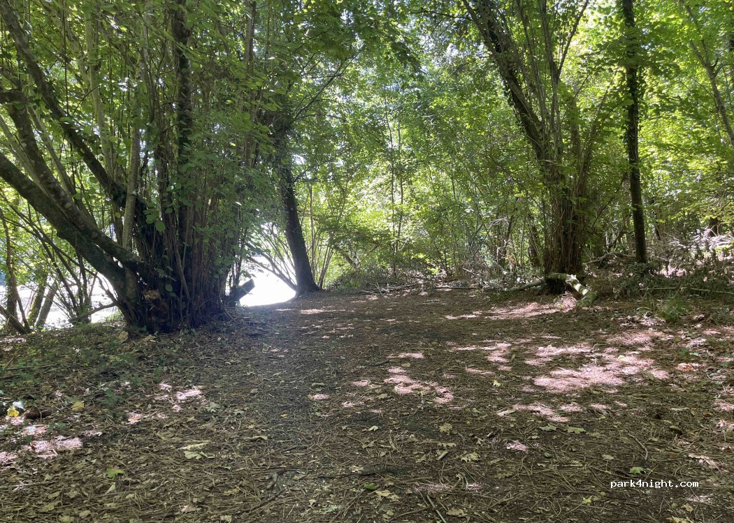(33770) Salles - Chemin du Bran — foto