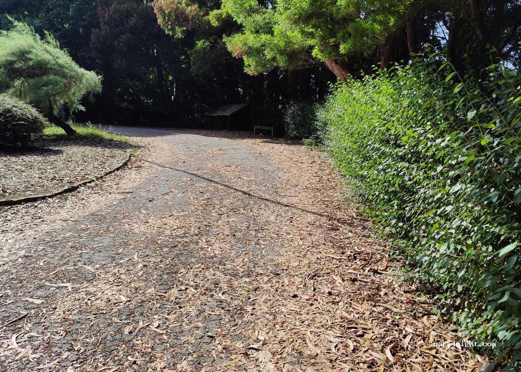 (33760) Castropol - Carretera A Veiga / Vegadeo - Vilagarcía de Arousa — foto 2