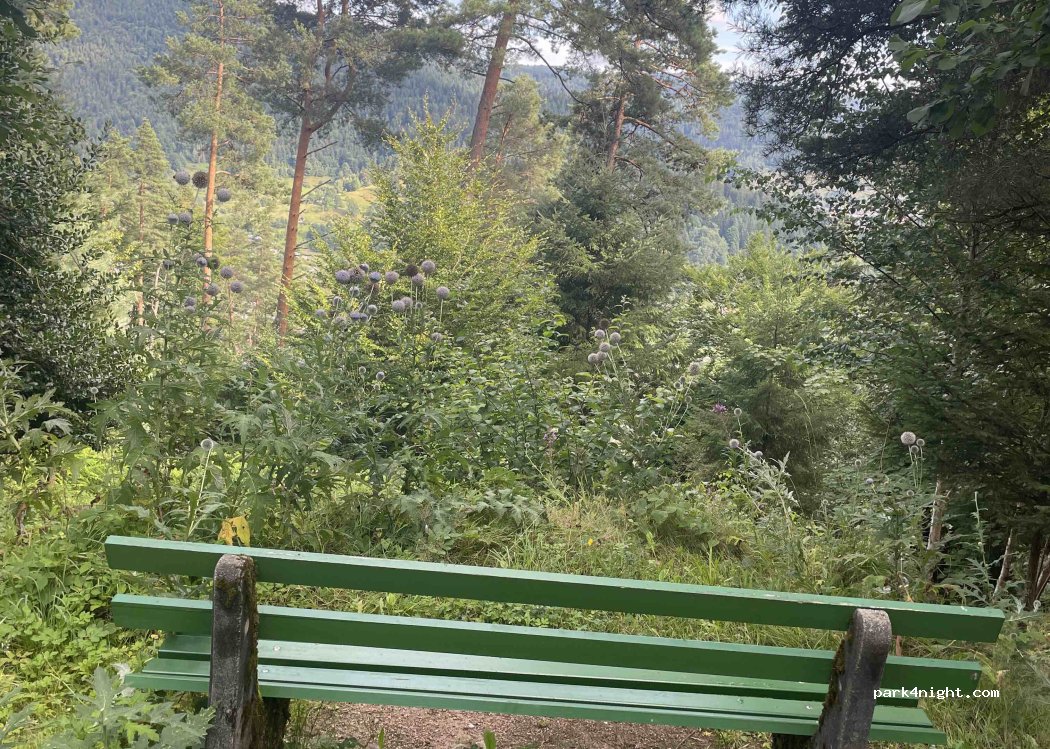 (76599) Weisenbach - Felsenweg — foto