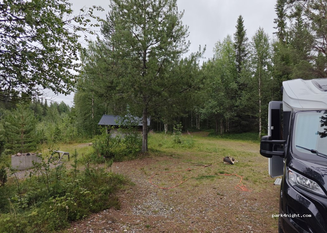 (924 92) Blattnicksele - — foto