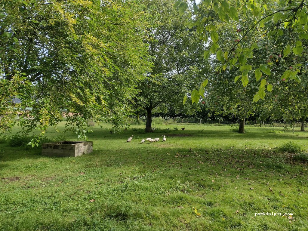 De Taemhoeve — foto 5