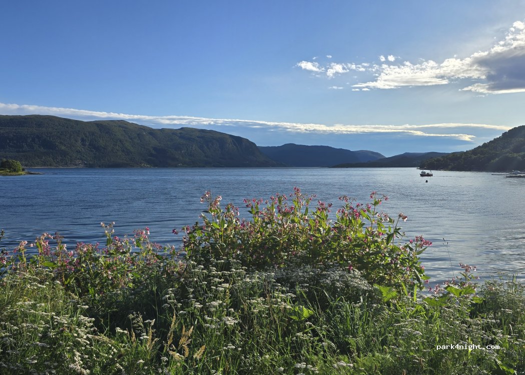 (6687) Valsøyfjord - Valsøyfjordvegen — foto