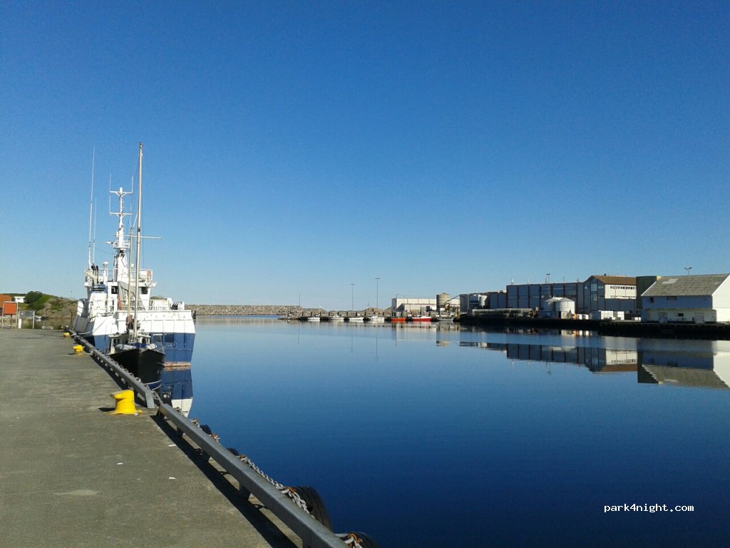 (4364) Sirevåg - 35 Nygårdsidå — foto