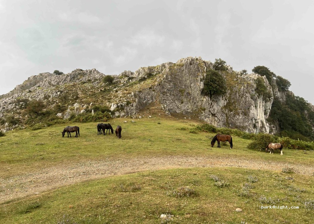 (39709) Castro-Urdiales - Sámano-Guriezo — foto 3