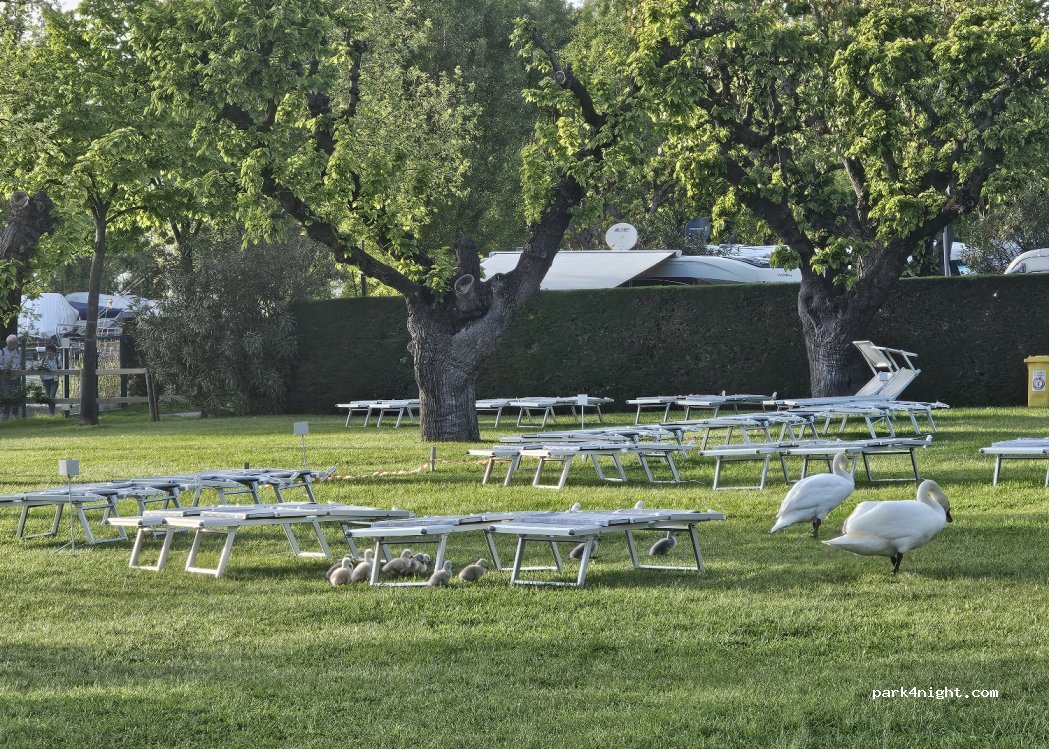 Camping Du Parc — foto 4