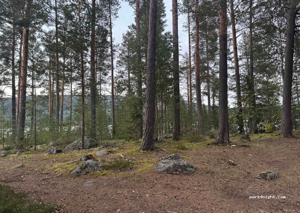 (86491) Tuna District - Skölevägen — foto 2