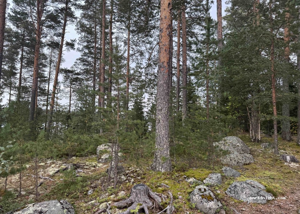 (86491) Tuna District - Skölevägen — foto 4