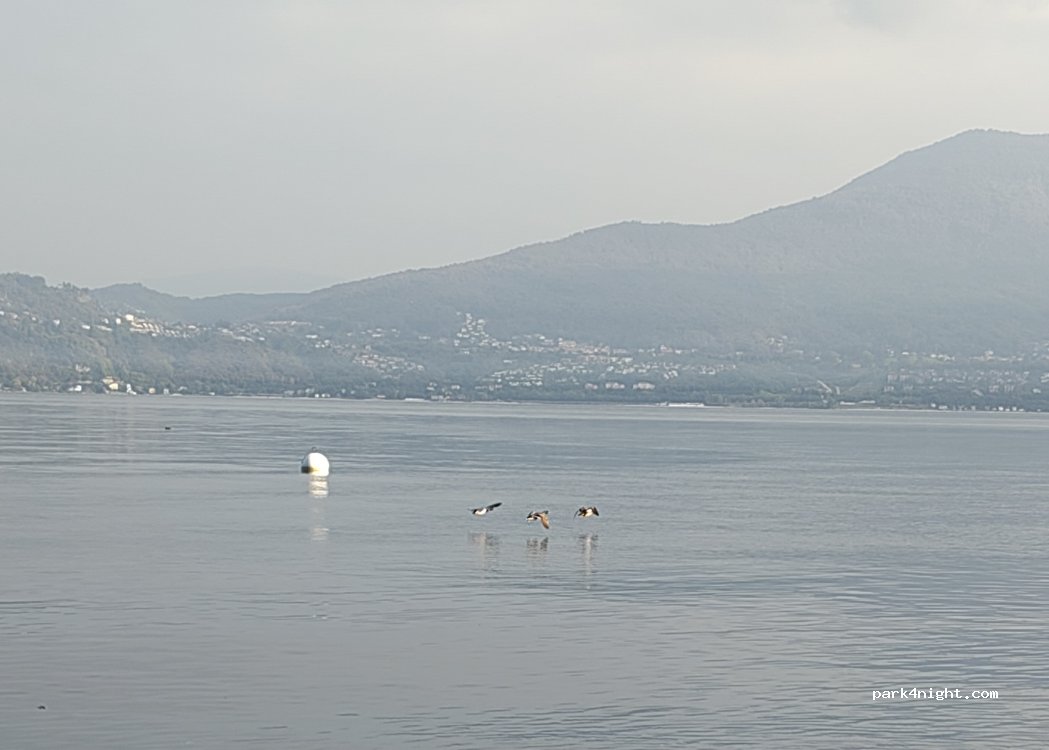 (28821) Oggebbio - Via Nazionale — foto 3