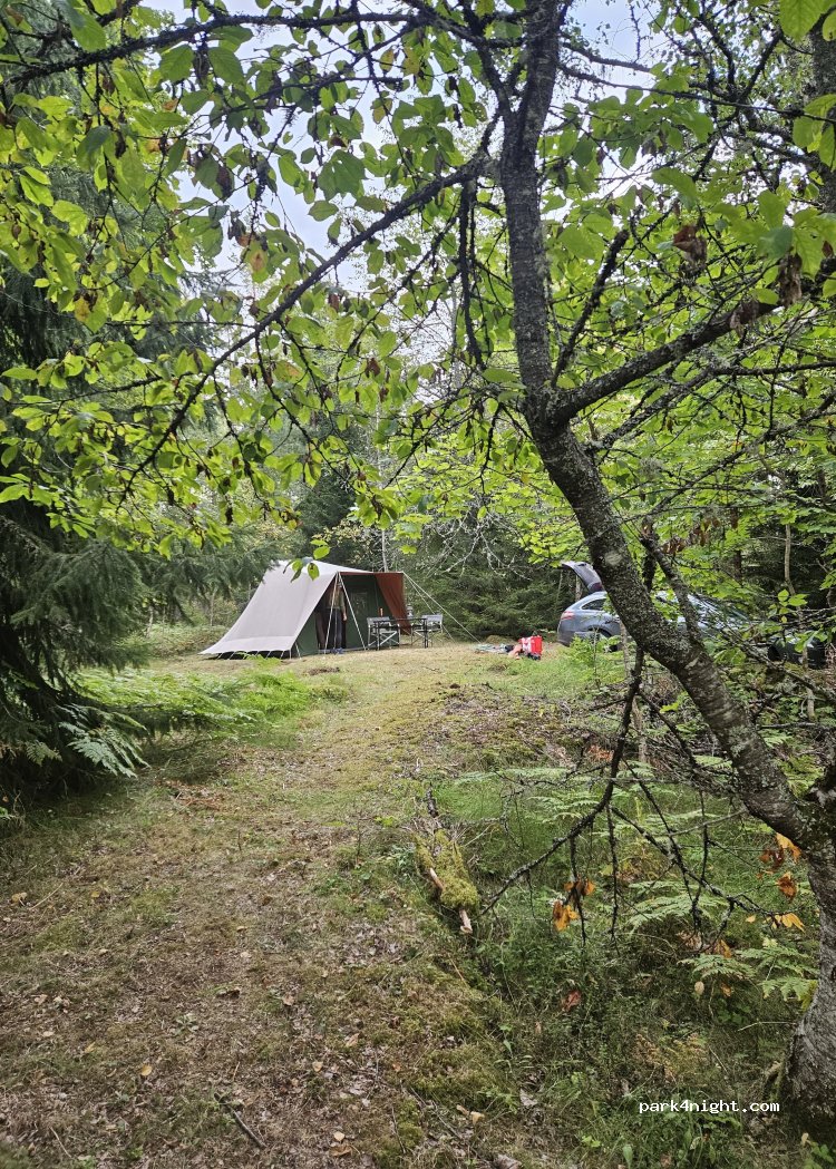 Gull Livet — foto 5