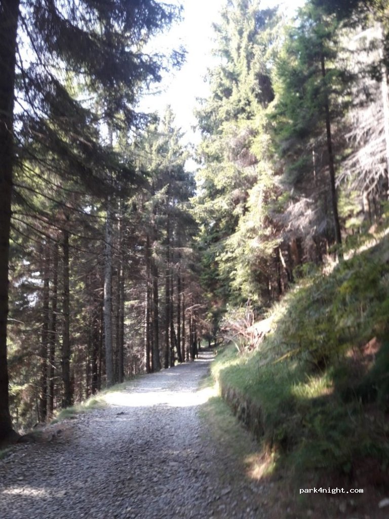 (13835) Valdilana - Strada Provinciale 232 — foto 2