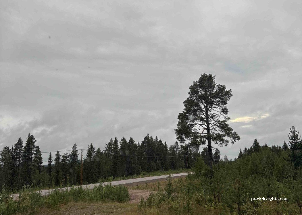 (980 10) Merasjärvi - 395 — foto