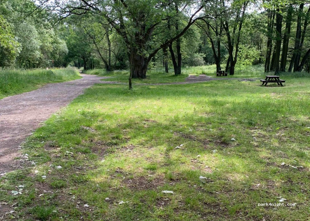 (49610) Juigné-sur-Loire - Unnamed Road — foto 3