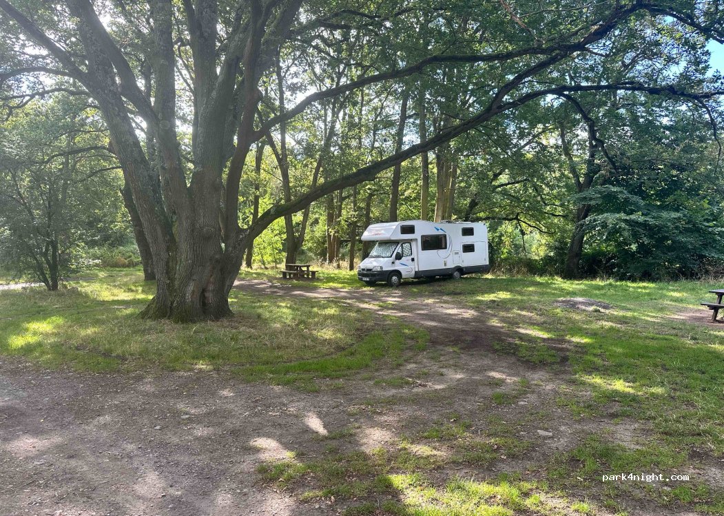 (49610) Juigné-sur-Loire - Unnamed Road — foto 4