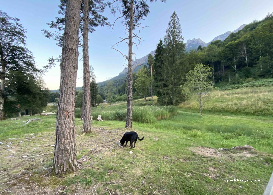 (38049) Altopiano della Vigolana - Via Doss del Bue — foto