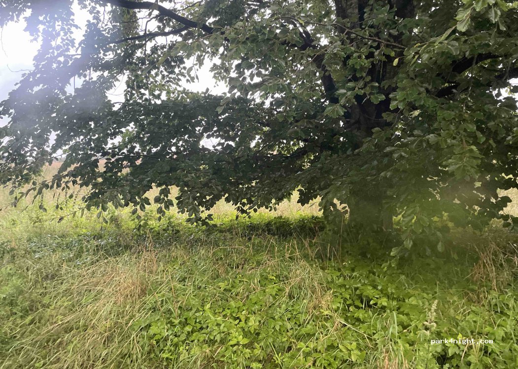 (6330) Fårhus - Plantagevej — foto 2