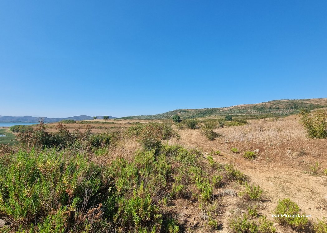 (3023) Bashkia Belsh - — foto 2