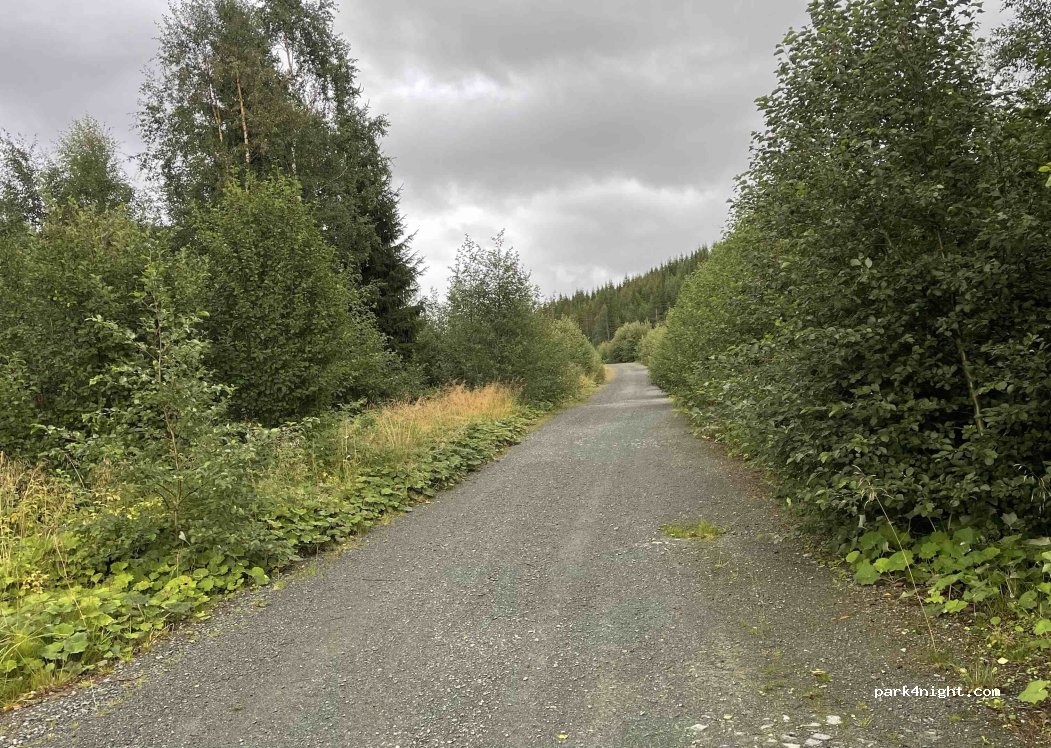 (7730) Steinkjer - Strømnestunnelen — foto