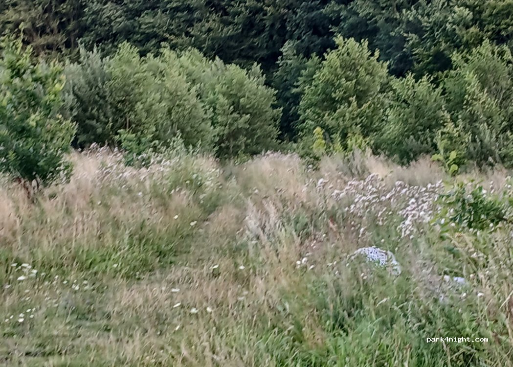 (8380) Trige - Østermøllevej — foto 3