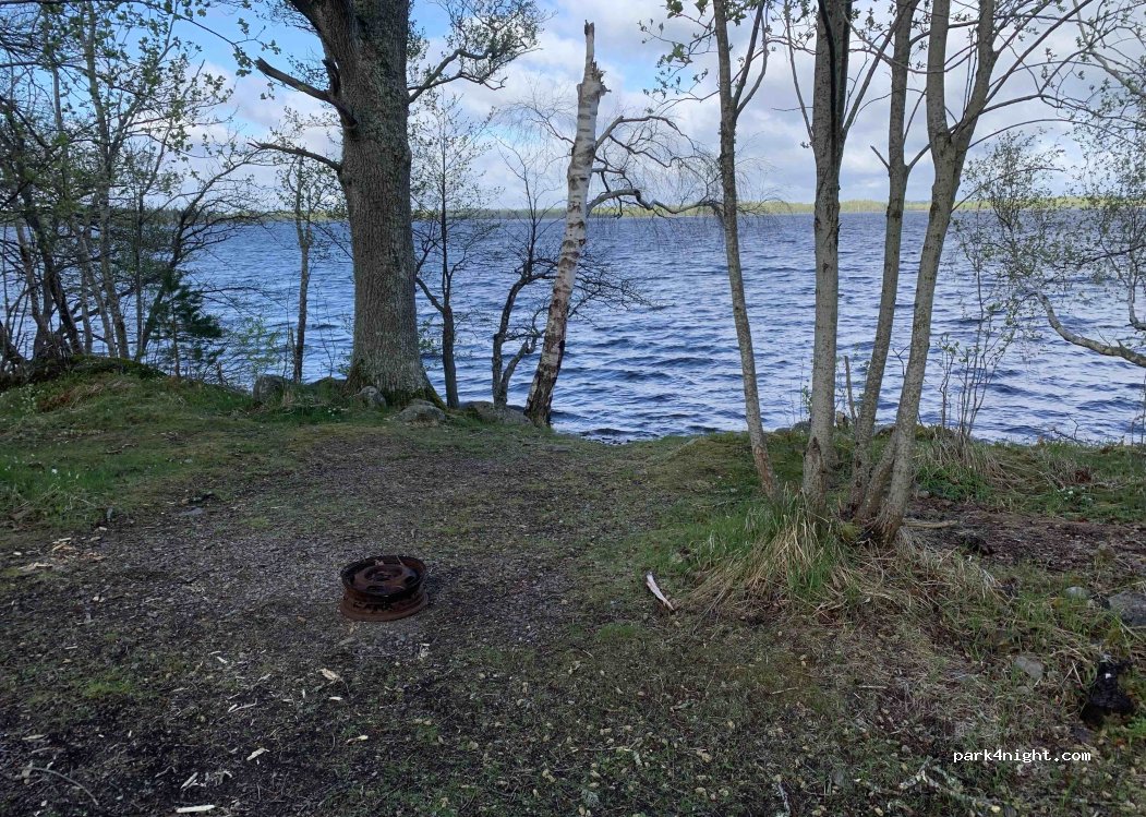 (36040) Rottne - G 891 — foto