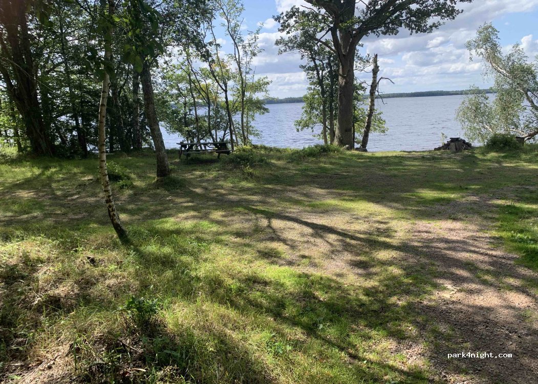 (36040) Rottne - G 891 — foto 2