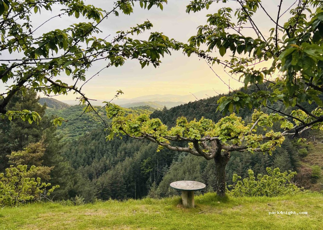 Camping le Massiol — foto 5